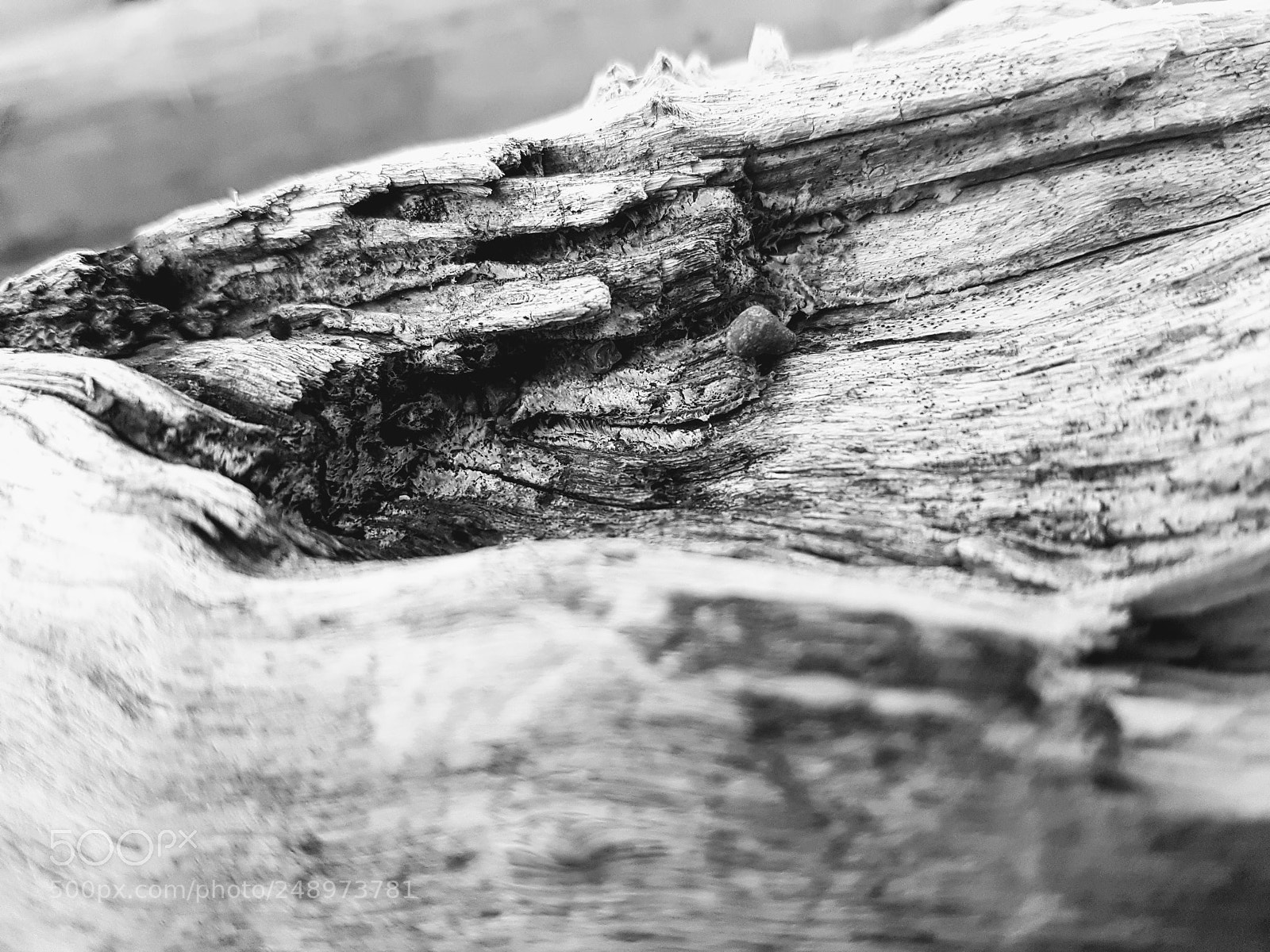 Samsung Galaxy S7 Edge sample photo. Drifted photography
