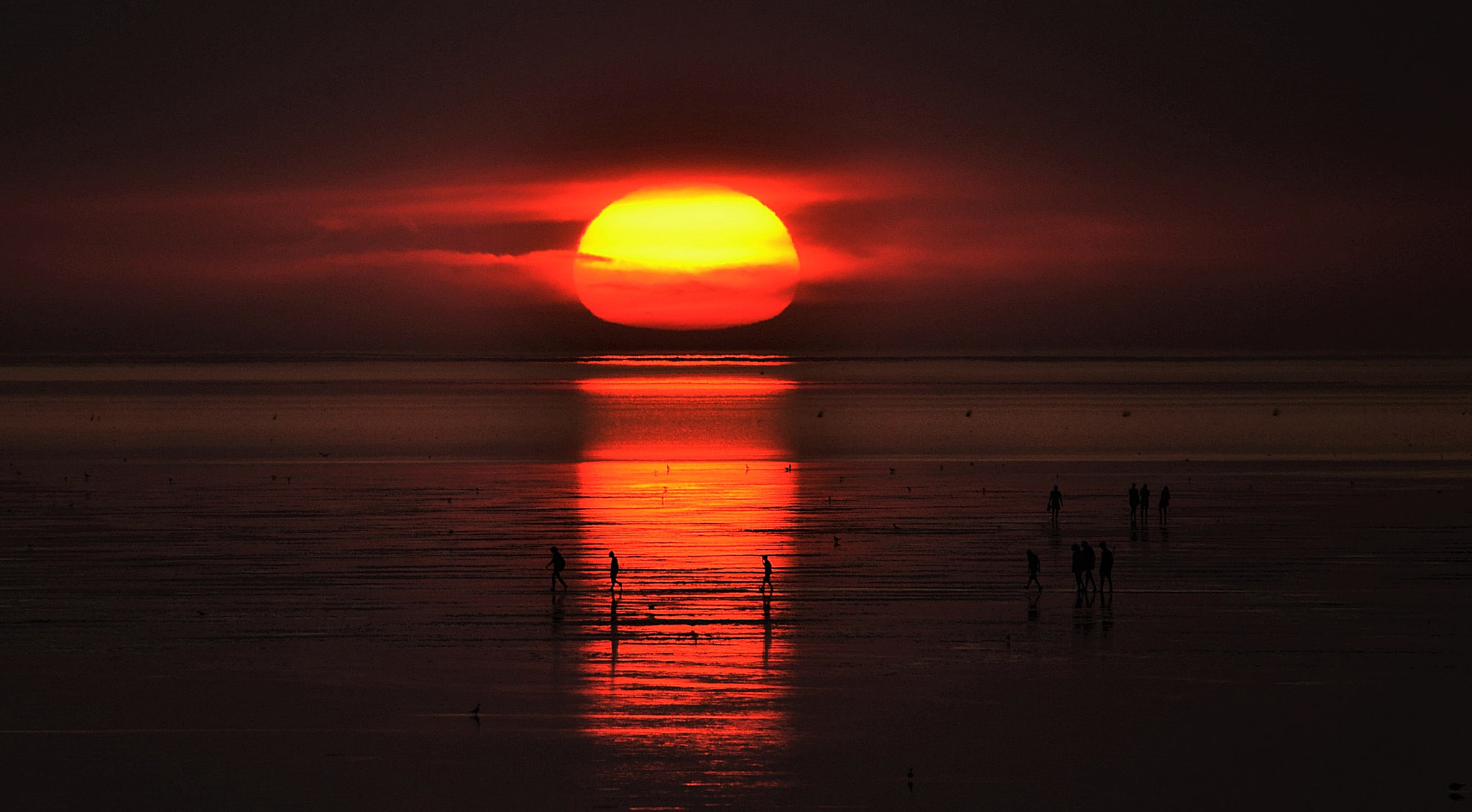 Nikon D3100 sample photo. The evening of the setting sun photography