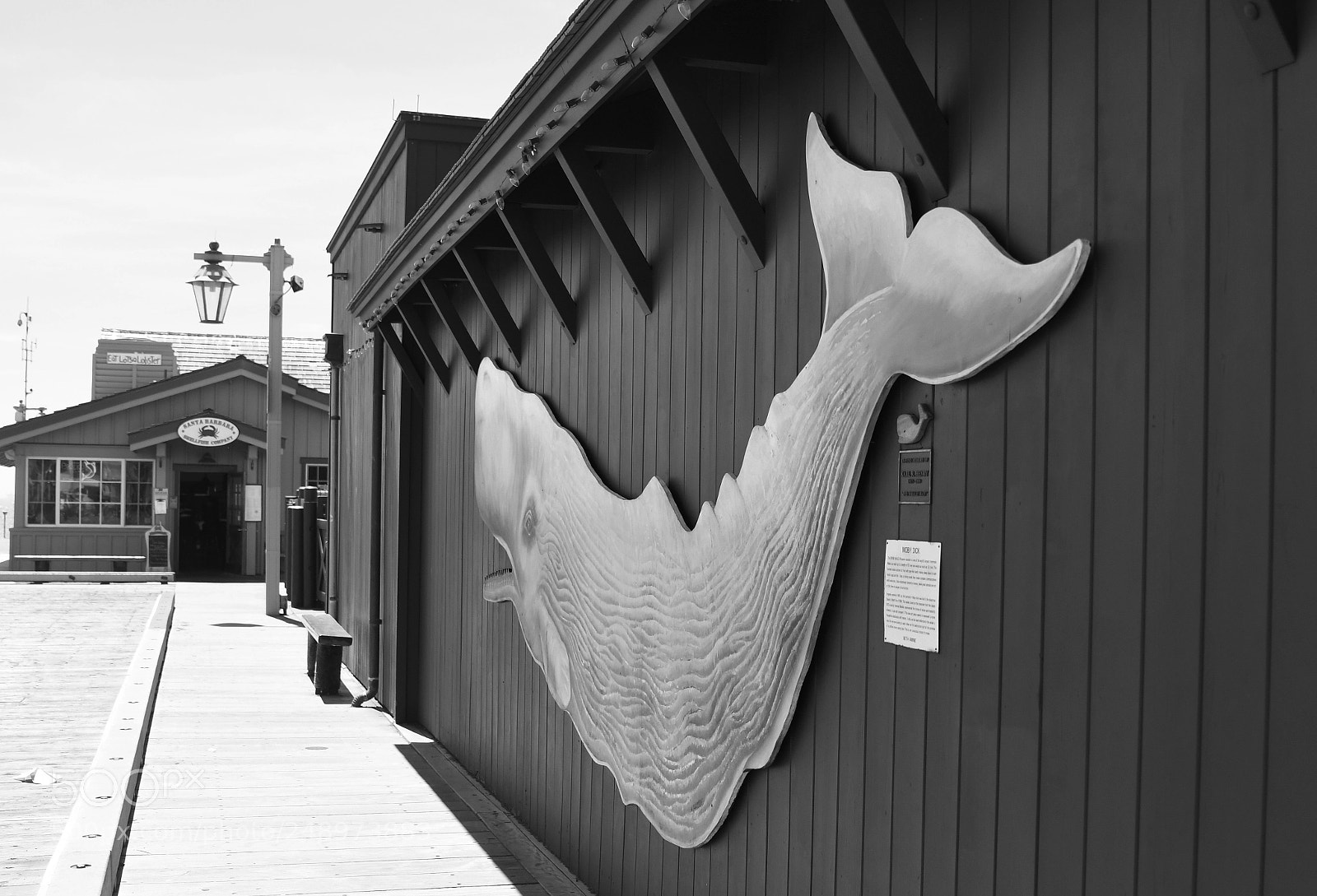Nikon D500 sample photo. Santa barbara pier photography