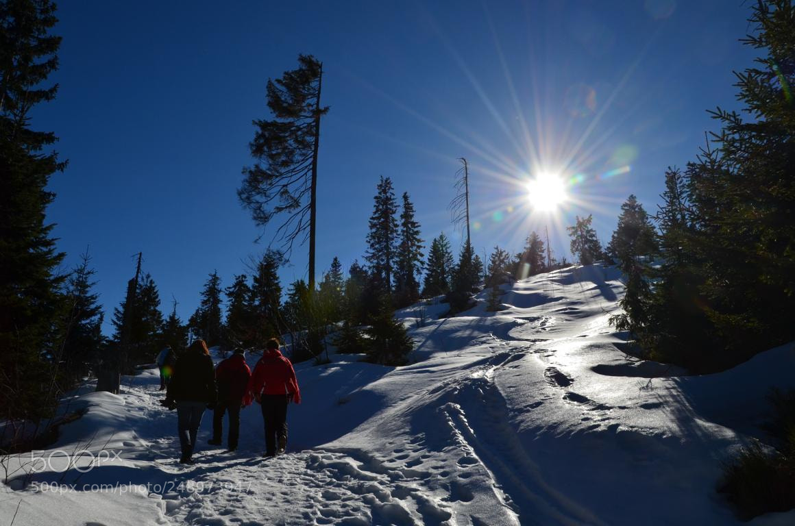 Nikon D5100 sample photo. Winterwanderung photography