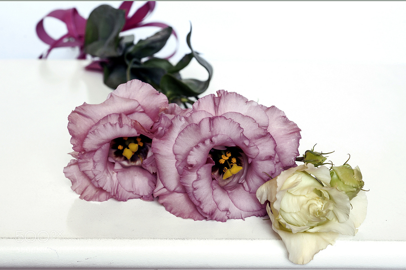 Nikon D700 sample photo. *** photography