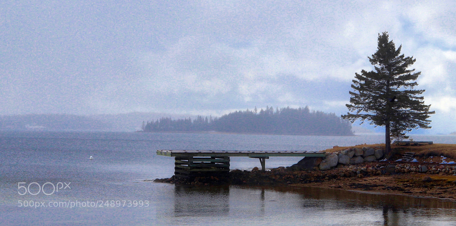 Canon EOS 800D (EOS Rebel T7i / EOS Kiss X9i) sample photo. St margarets bay rte photography