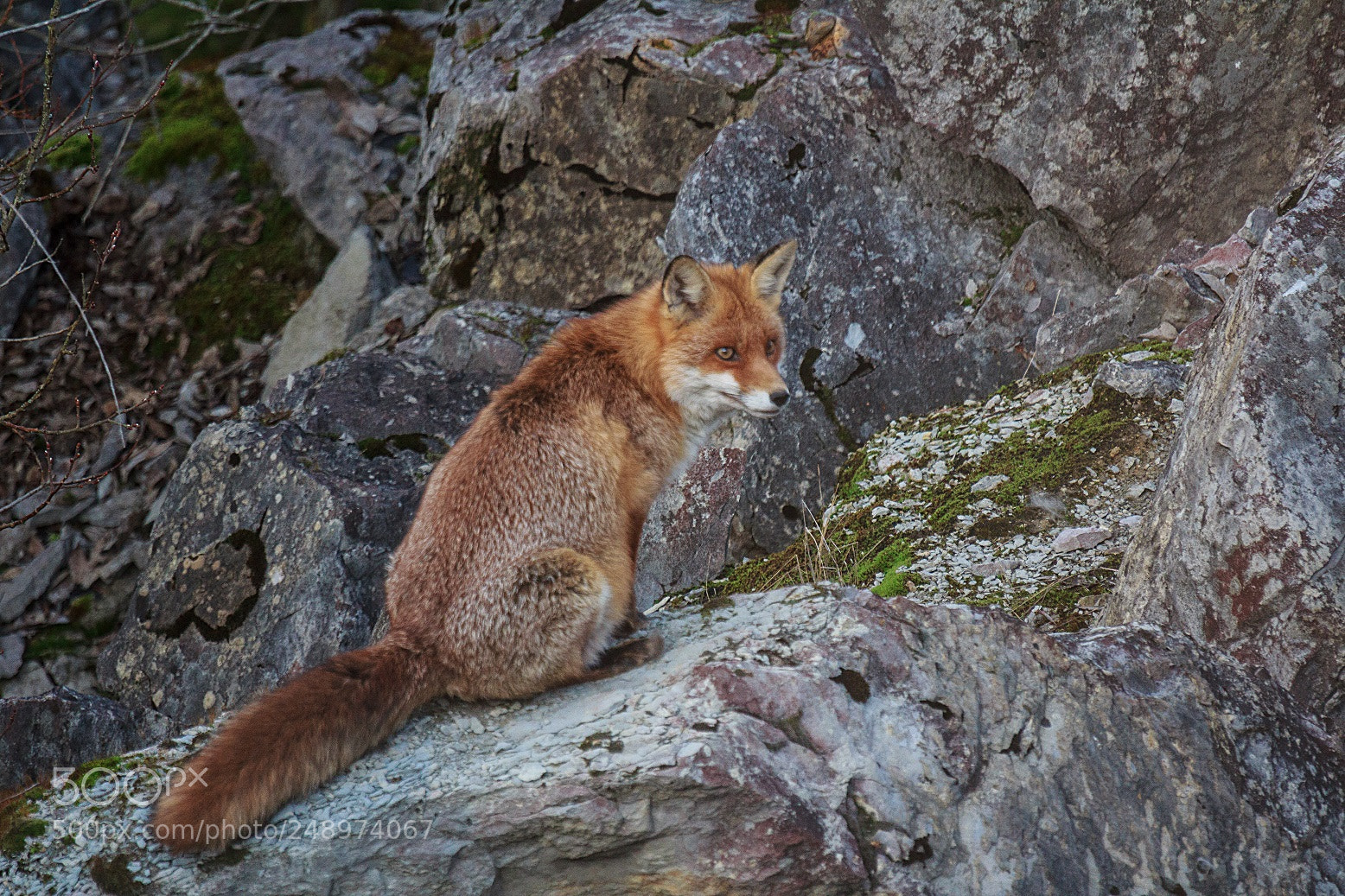 Canon EOS 60D sample photo. On the rocks photography