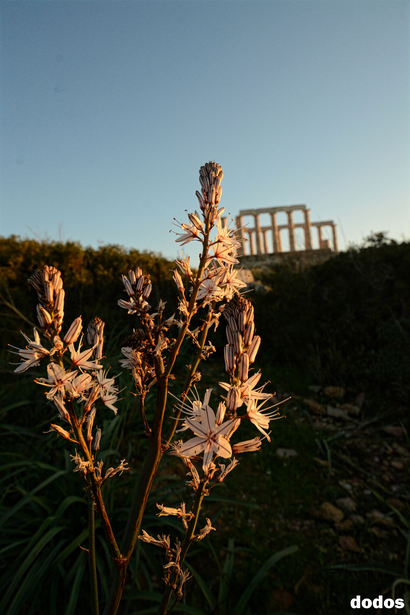 Nikon D7100 sample photo. Sounio photography