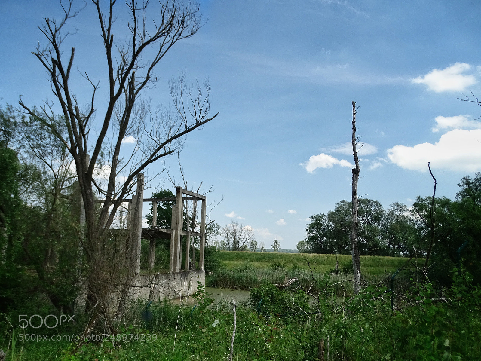 Sony Cyber-shot DSC-HX400V sample photo. Vogelsang photography