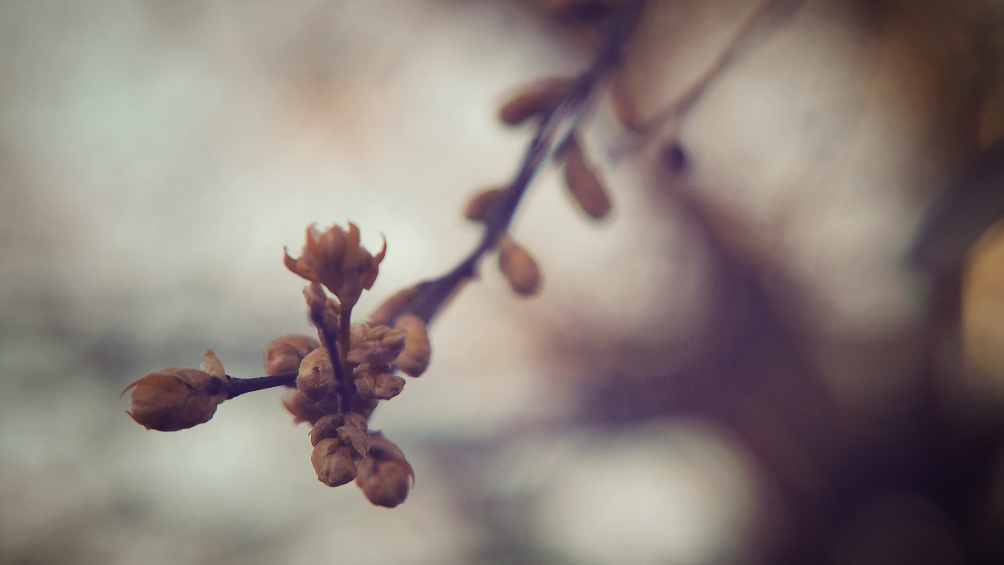 Olympus PEN E-P3 sample photo. Spring photography