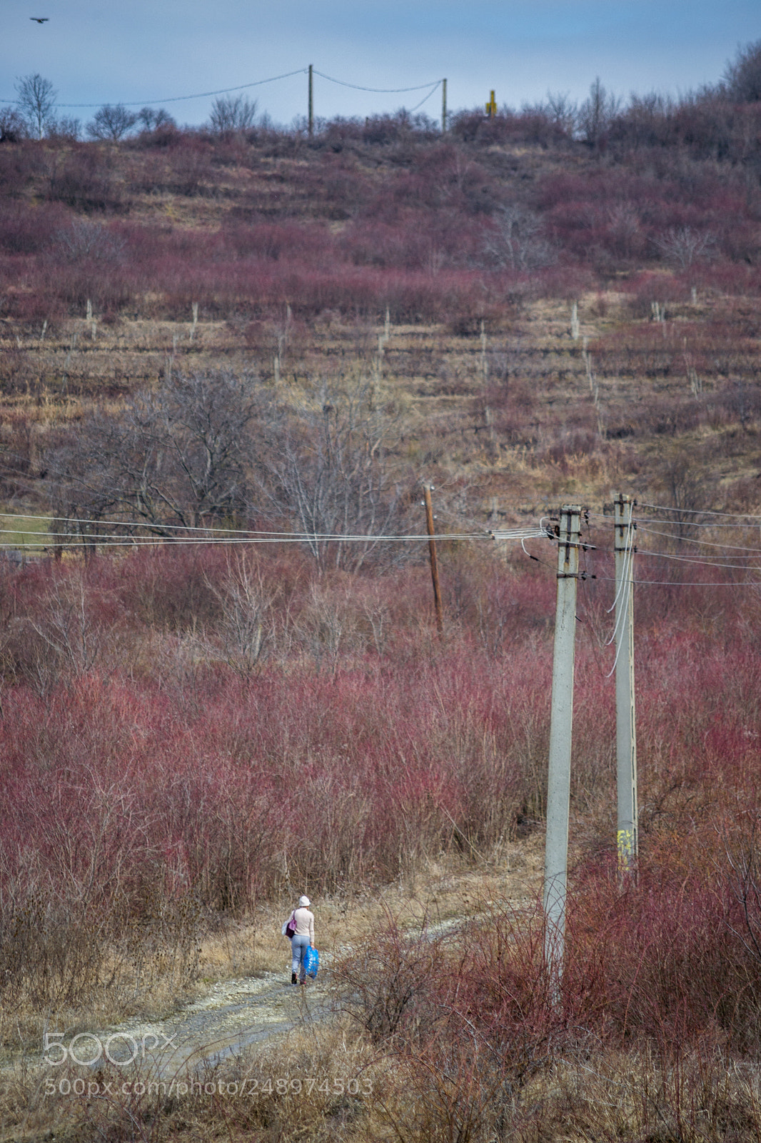 Nikon D3100 sample photo. The long road photography