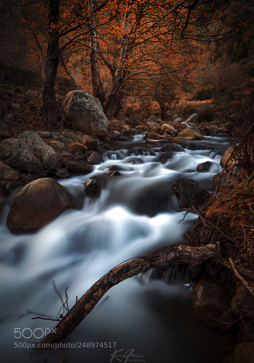 Nikon D610 sample photo. Beauty heaven photography