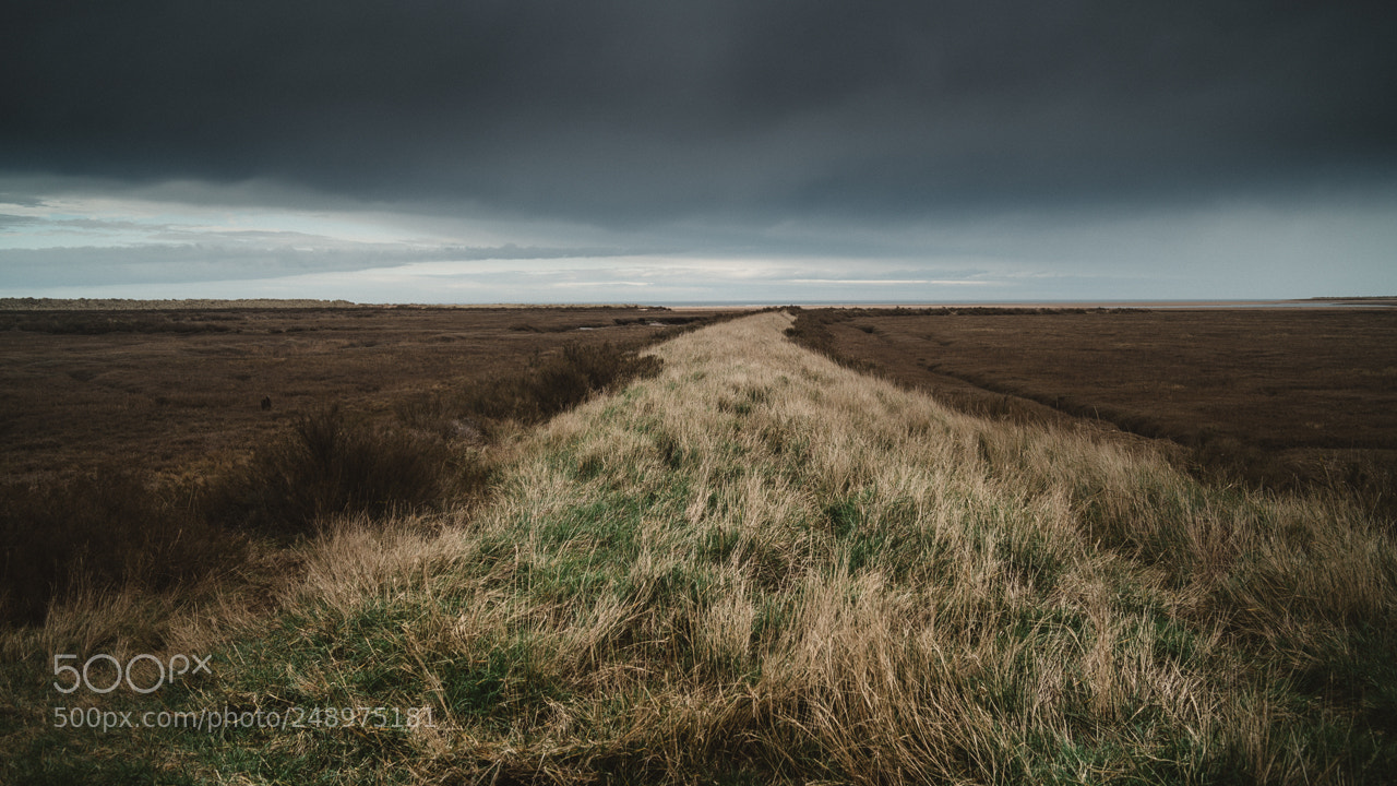 Sony a7R II sample photo. Grey skies photography