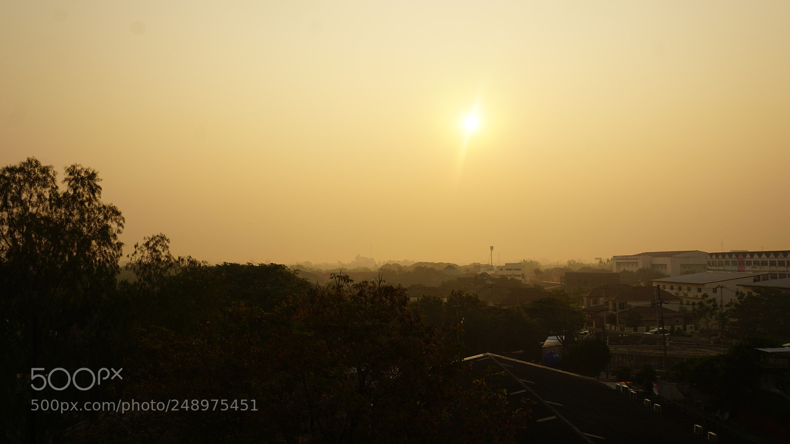 Sony a6000 sample photo. Dsc photography
