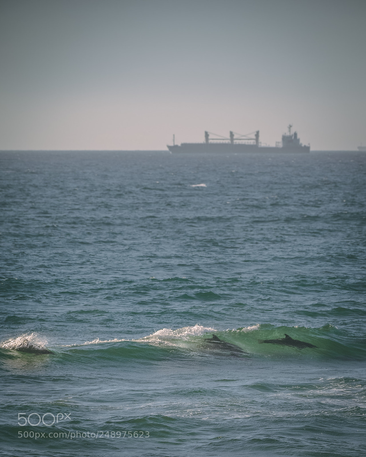 Nikon D7100 sample photo. Waverider photography