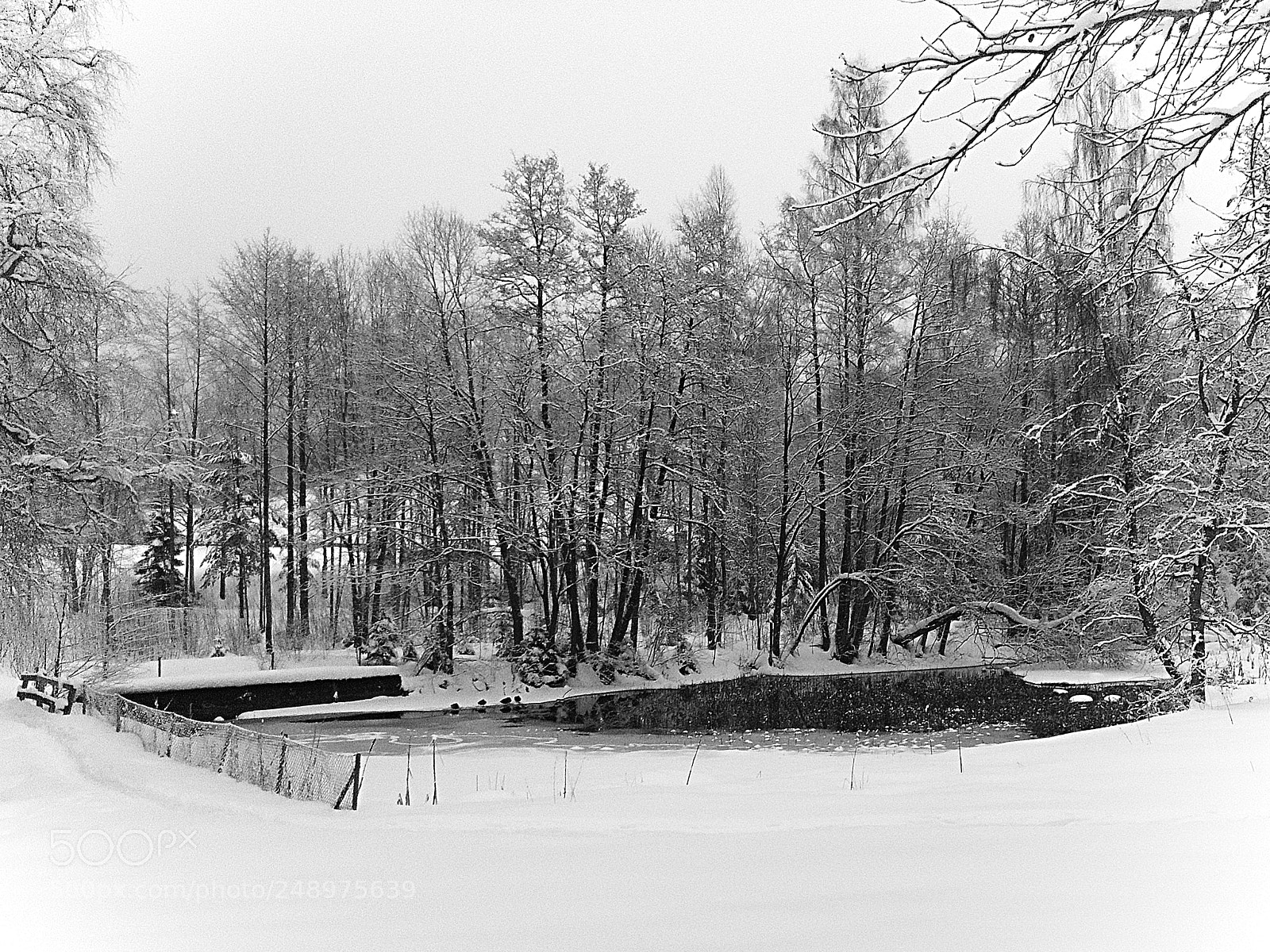 Apple iPhone X sample photo. Winter land shotoniphone and photography