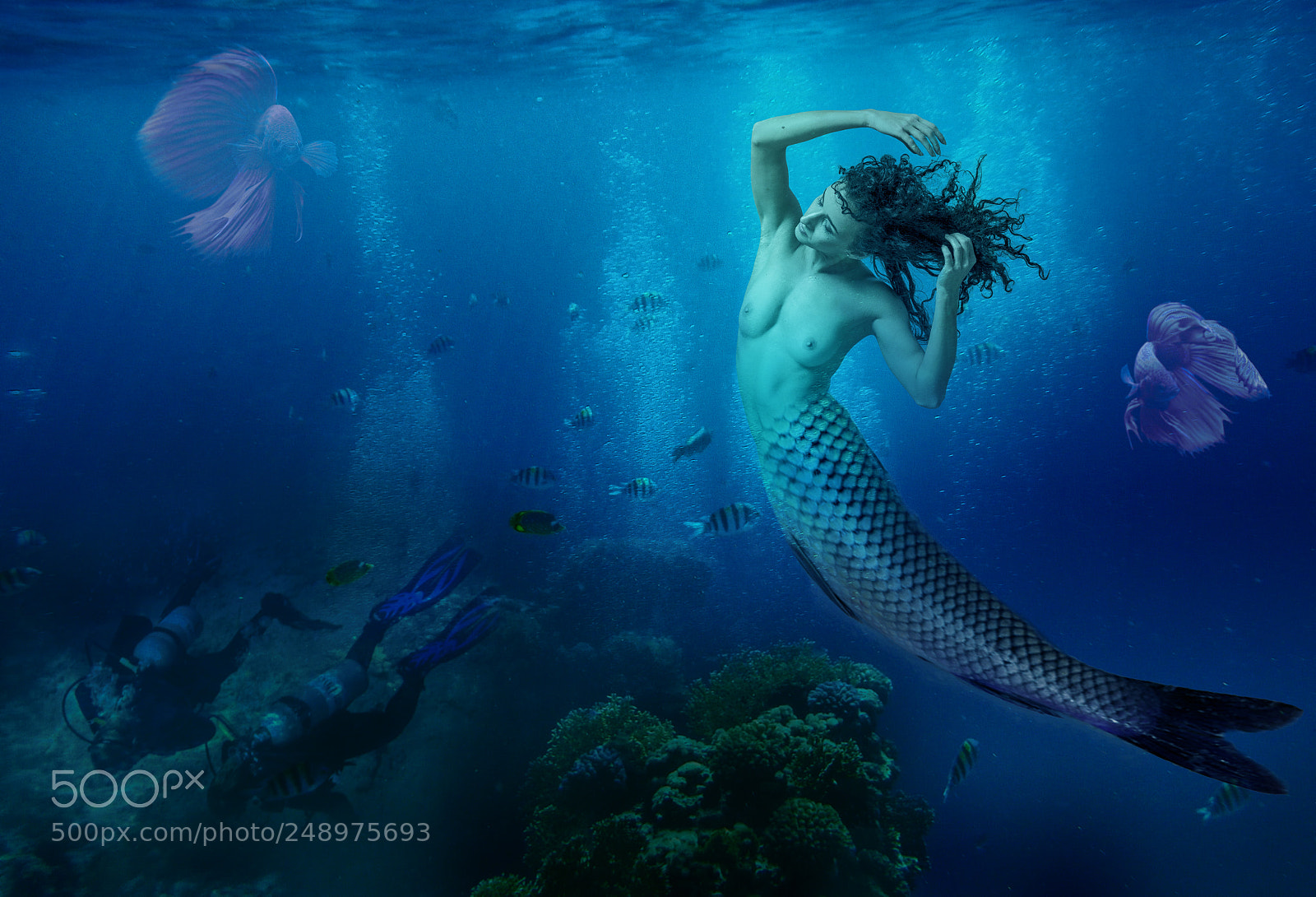 Nikon D5500 sample photo. Red sea photography