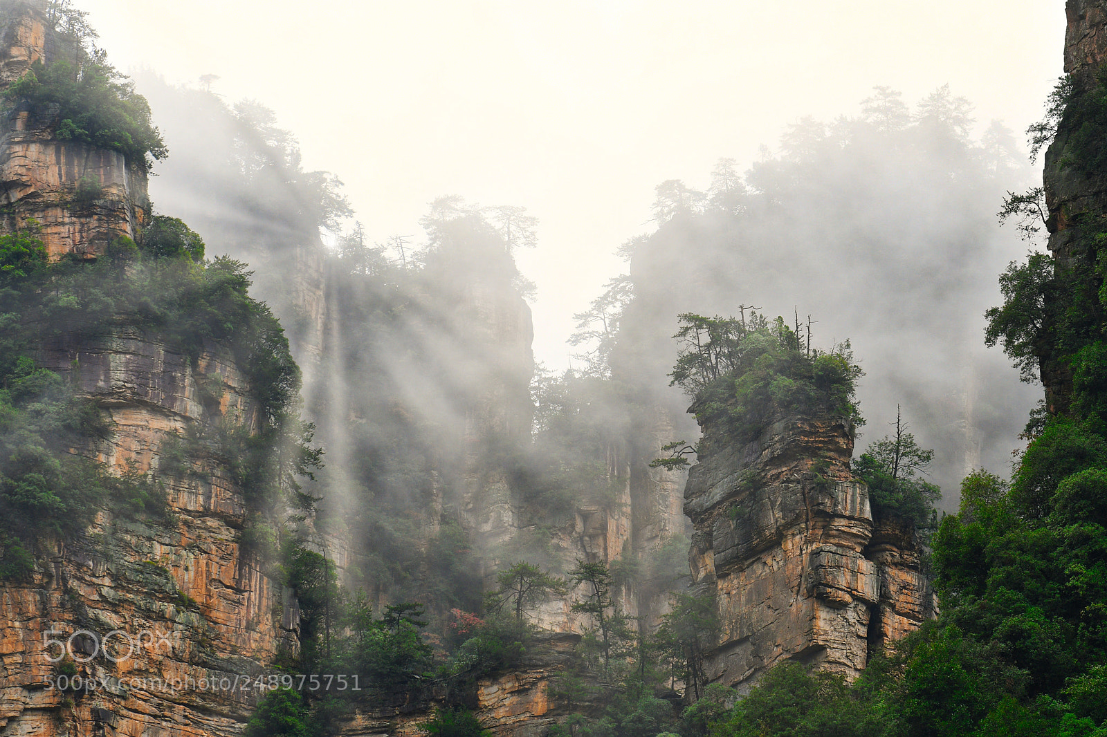 Nikon D500 sample photo. Zhangjiajie specialeffect photography