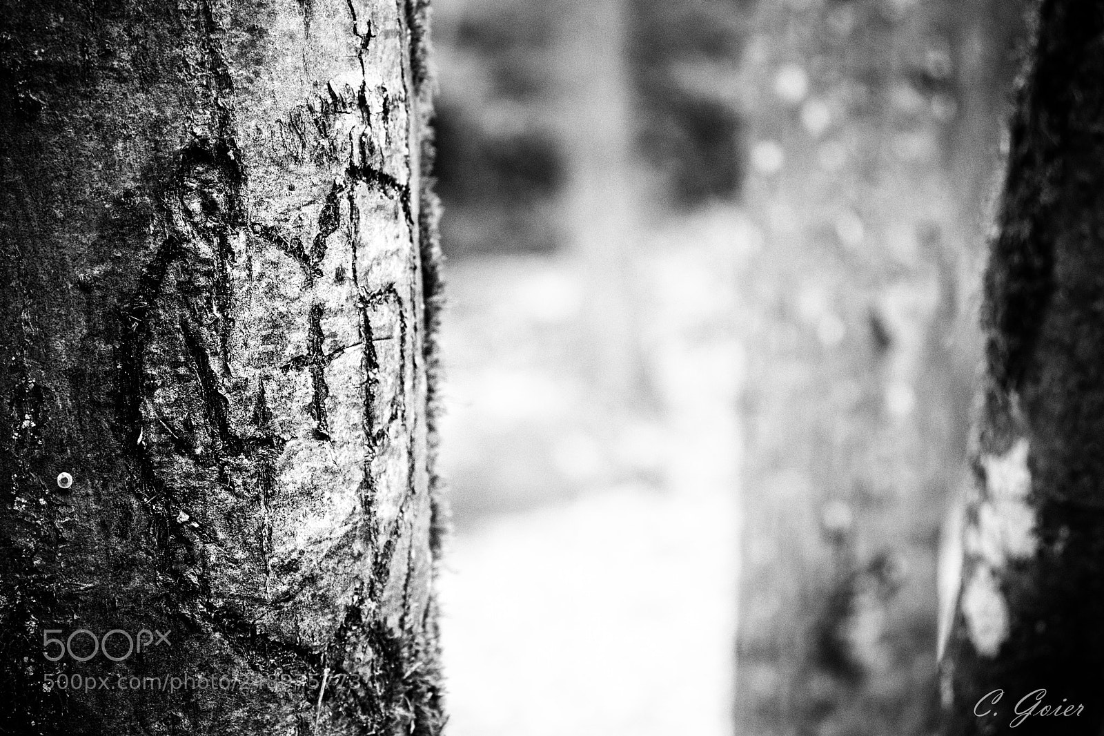 Canon EOS 77D (EOS 9000D / EOS 770D) sample photo. Carved love photography