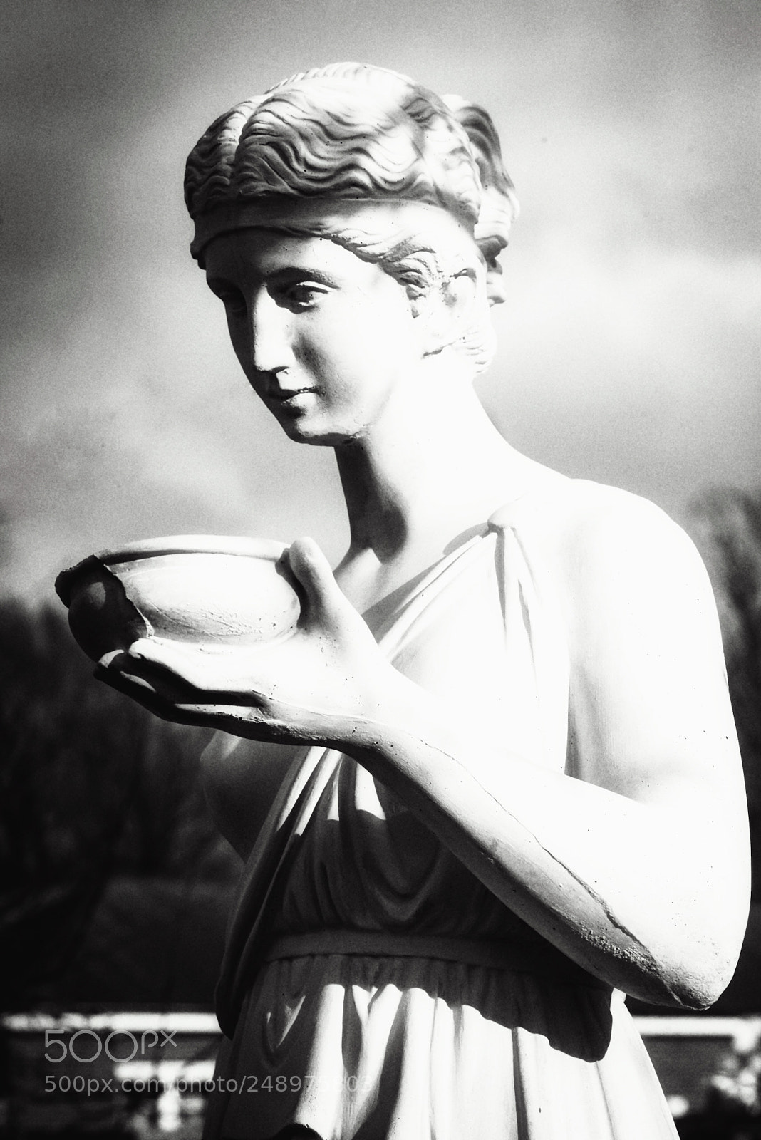 Nikon D800E sample photo. Statue photography