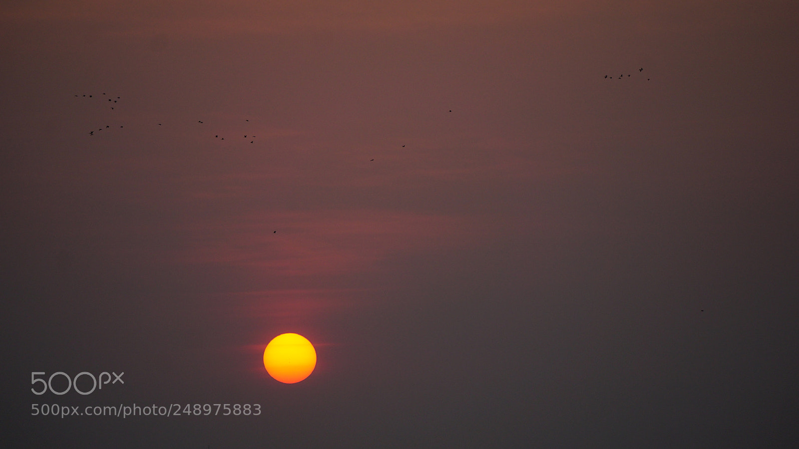 Sony a6000 sample photo. Dsc photography