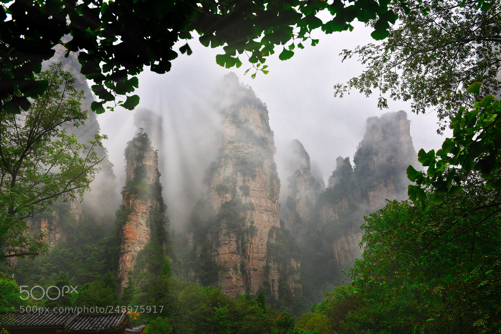 Nikon D810 sample photo. Zhangjiajie specialeffect photography