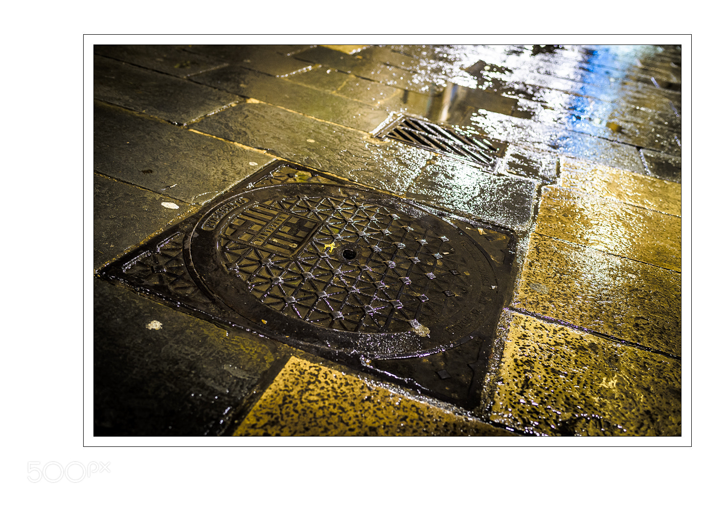 Nikon D5 sample photo. Sewer photography