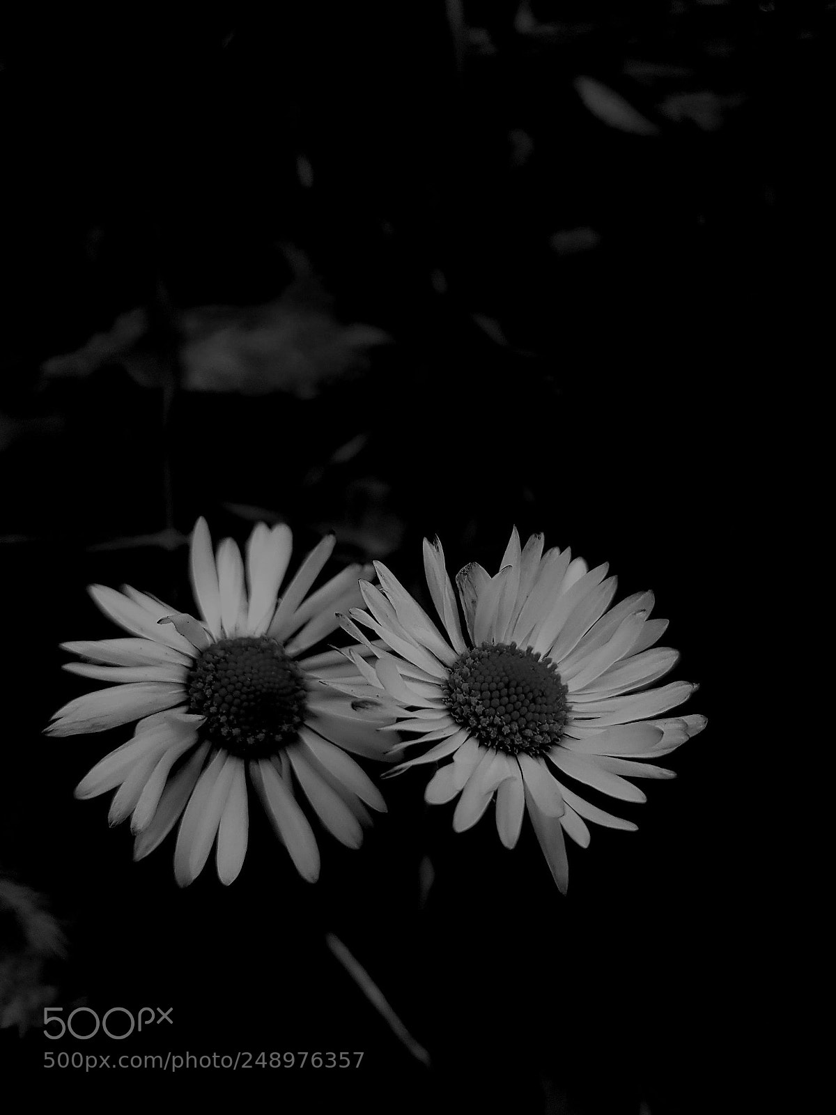 Samsung Galaxy S8 sample photo. Untitled photography