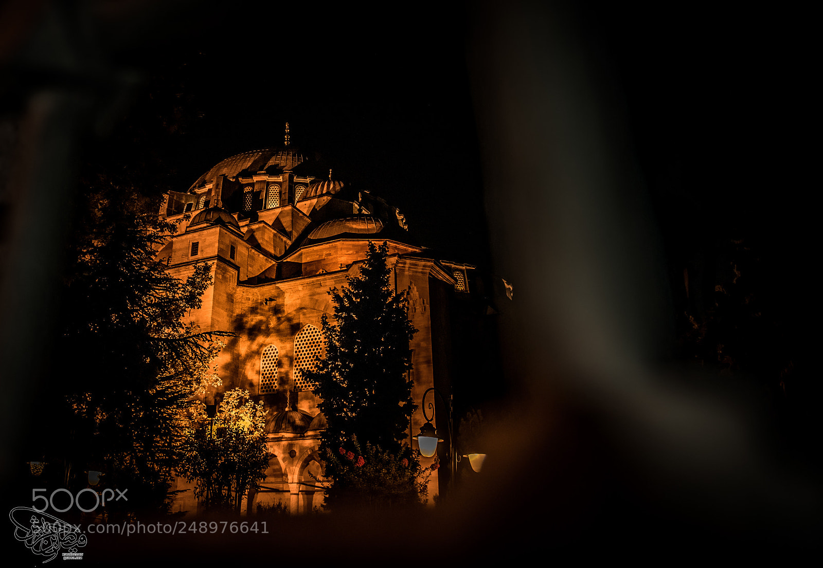 Nikon D800E sample photo. Untitled photography