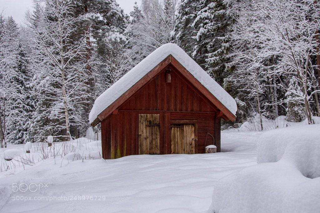 Nikon D7200 sample photo. The little red house photography