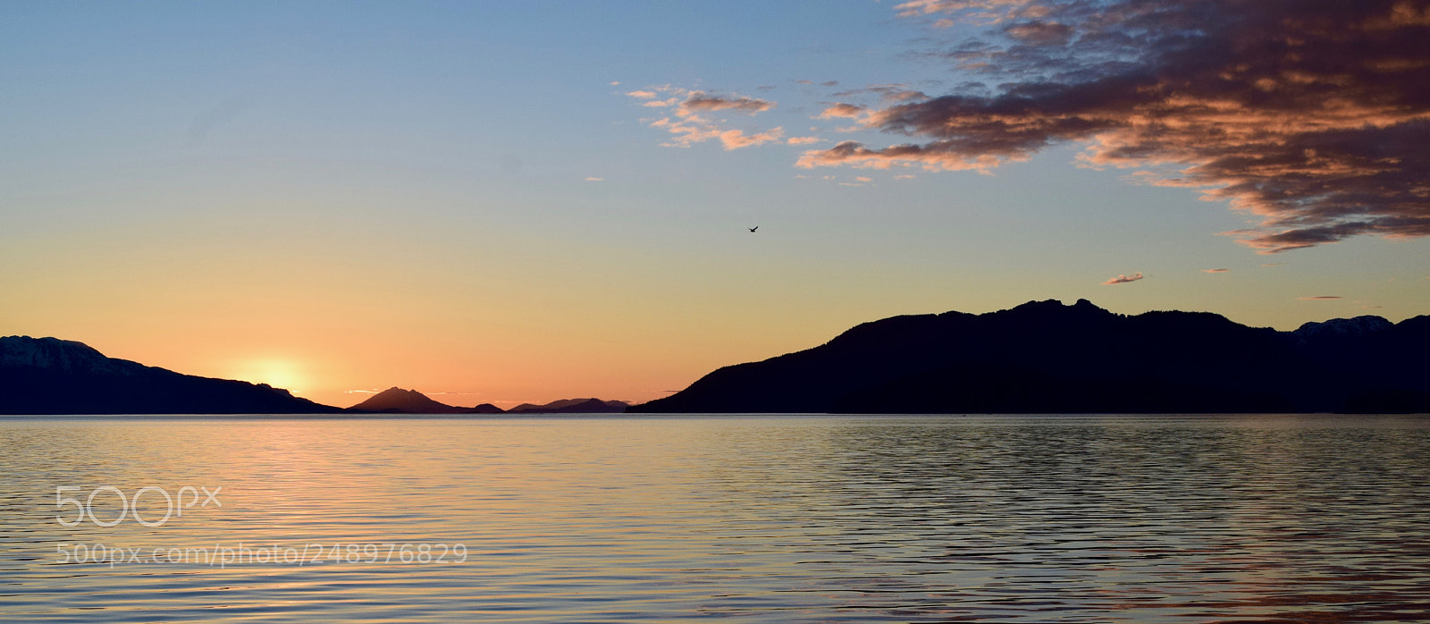 Nikon D5300 sample photo. Admiralty island sunset i photography