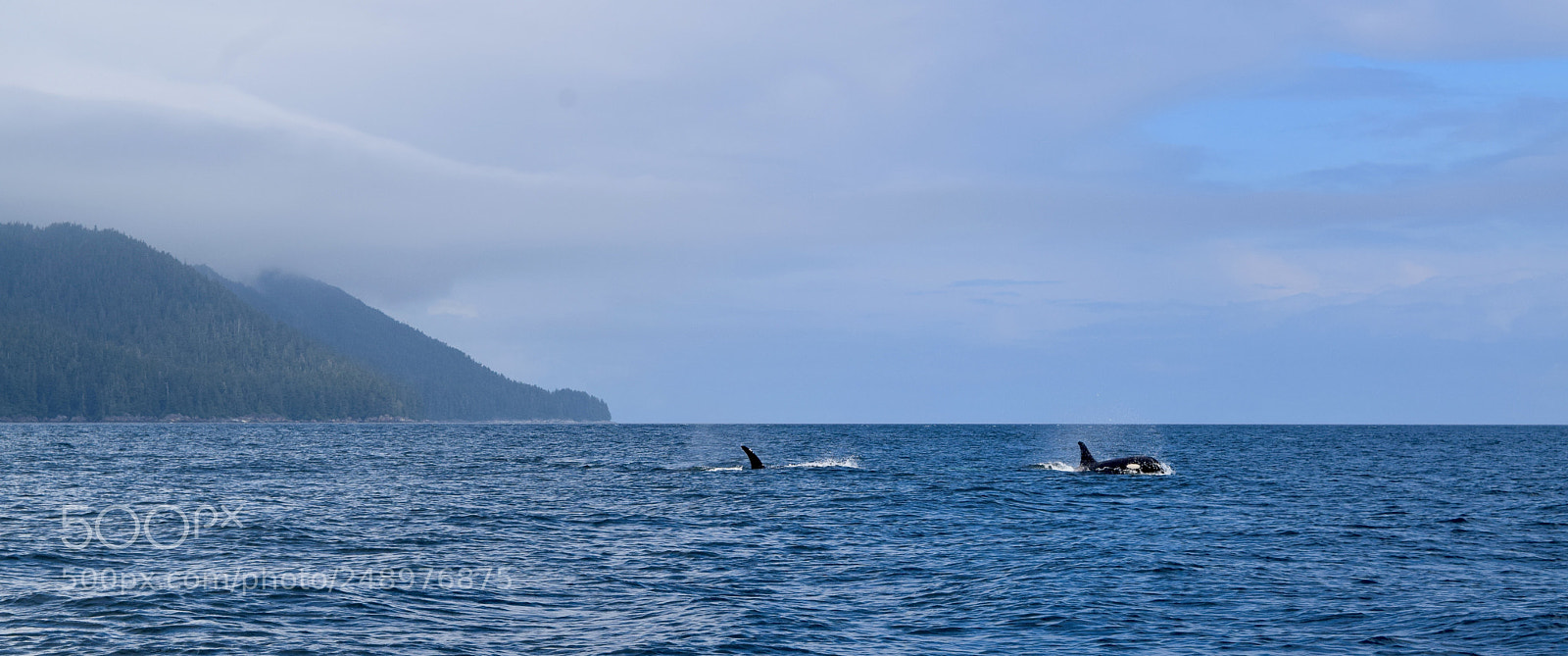 Nikon D5300 sample photo. Cruising south in chatham photography