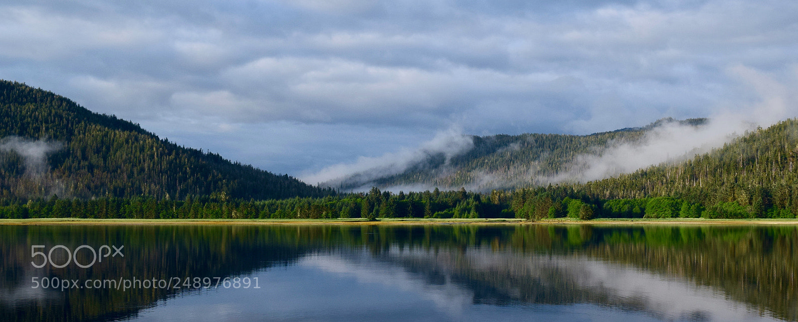 Nikon D5300 sample photo. The rainforest exhales photography
