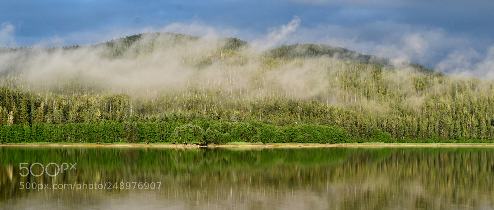 Nikon D5300 sample photo. Summer morning at fish photography