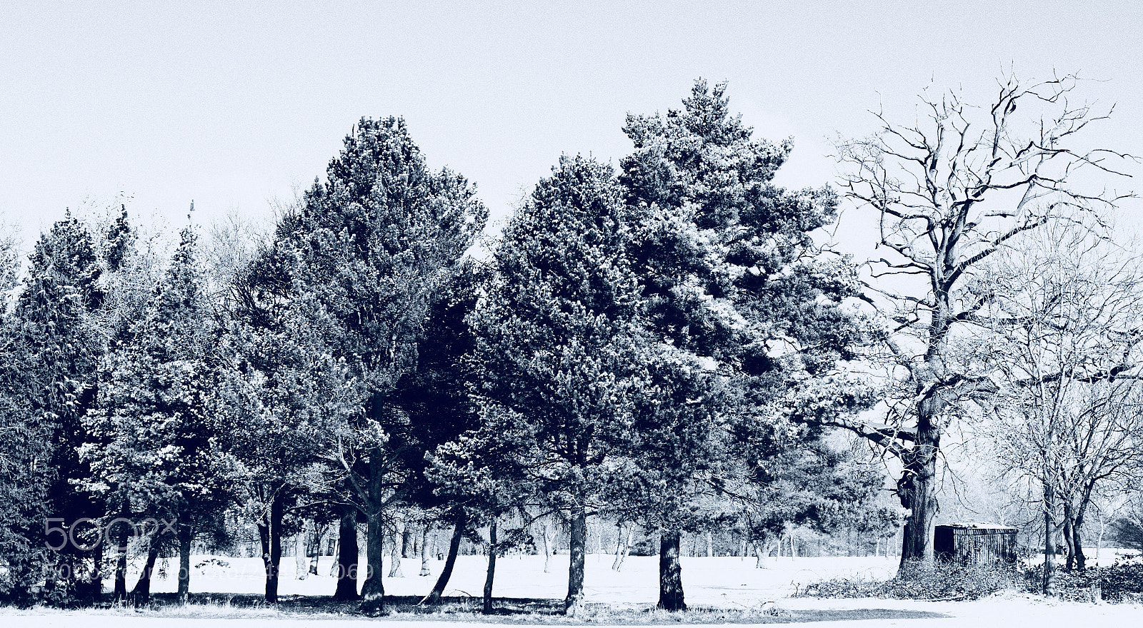Olympus PEN-F sample photo. Shelter from the storm. photography