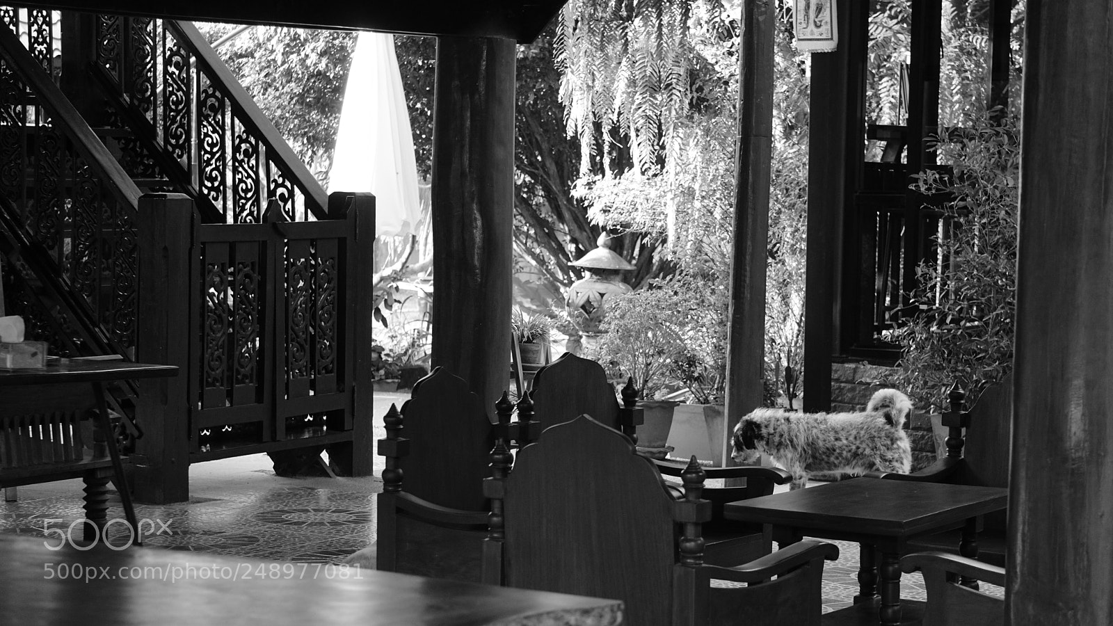 Sony a6000 sample photo. Dsc photography