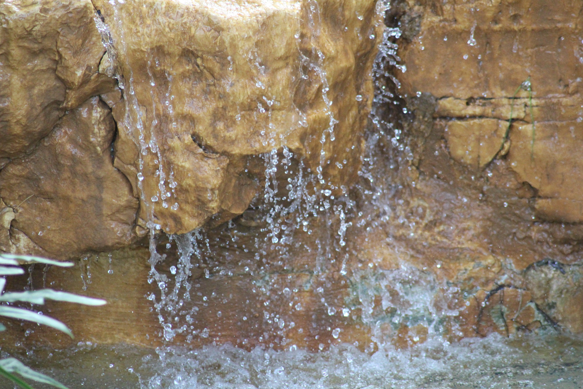 Canon EOS 700D (EOS Rebel T5i / EOS Kiss X7i) sample photo. Frozen photography
