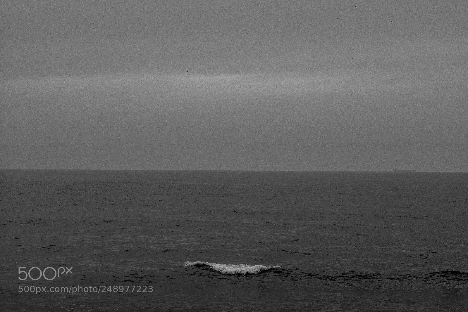 Leica M (Typ 240) sample photo. Atlantic wave.jpg photography