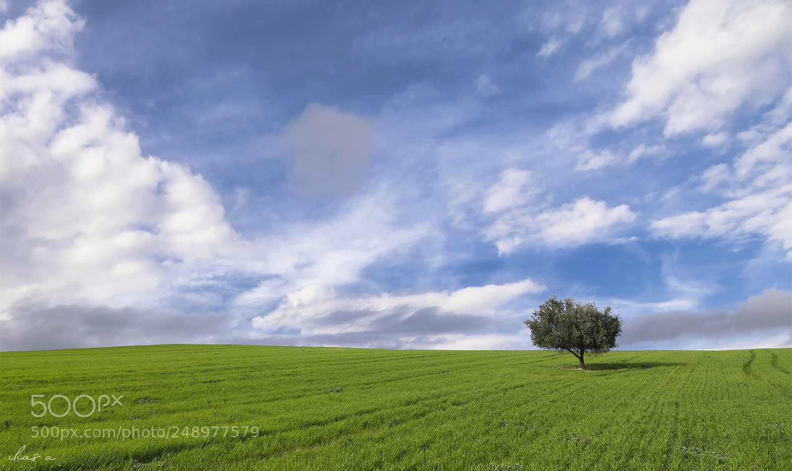 Nikon D7200 sample photo. Spring photography
