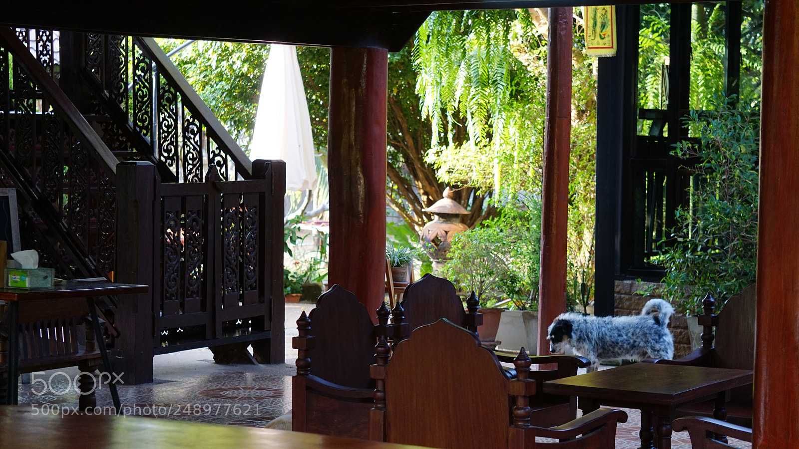 Sony a6000 sample photo. Dsc photography