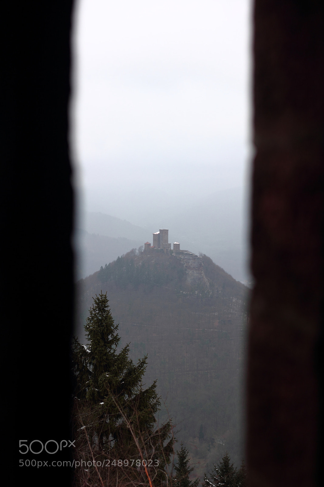 Canon EOS 550D (EOS Rebel T2i / EOS Kiss X4) + Canon EF 50mm F1.8 II sample photo. Blick auf die burg photography