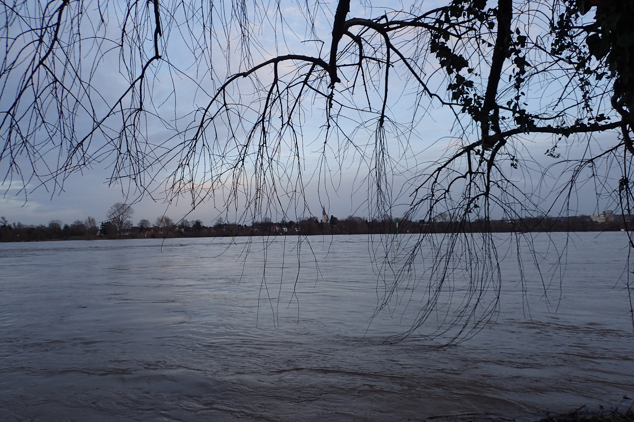 Olympus TG-3 sample photo. Rhein hochwasser 2018 photography