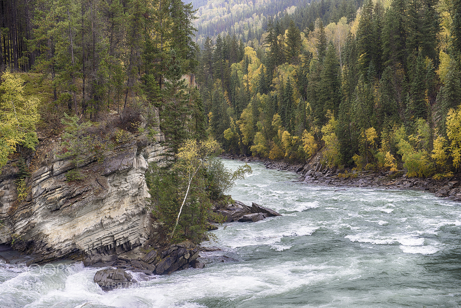 Nikon D610 sample photo. Near the headwaters of photography