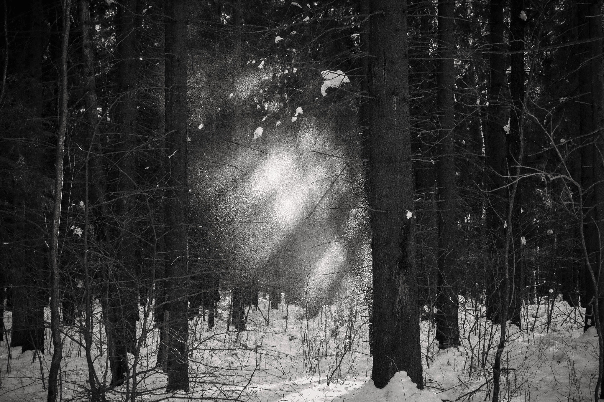 Canon EOS sample photo. Snow rain) photography