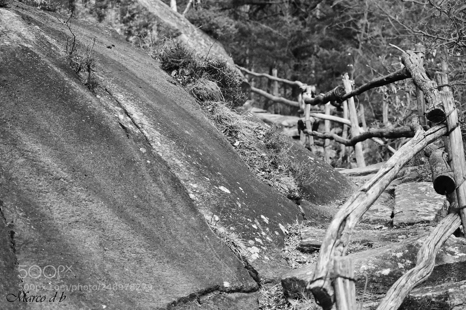 Nikon D3400 sample photo. Strada di montagna photography