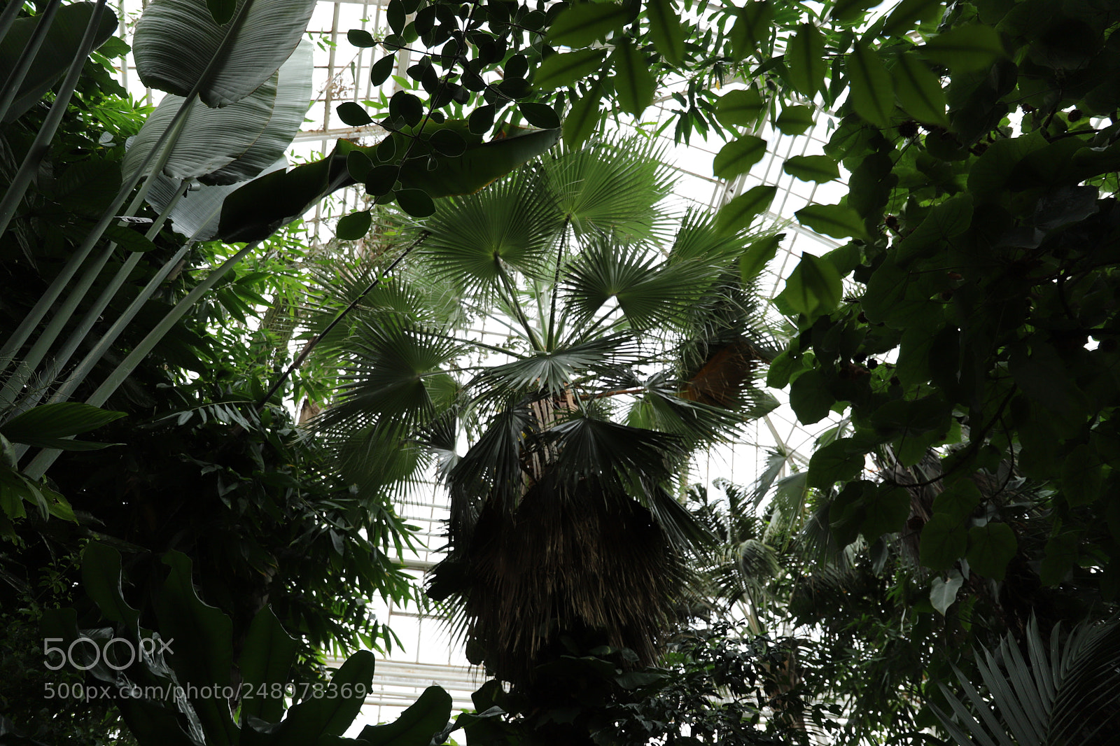 Canon EF 24-105mm F3.5-5.6 IS STM sample photo. Img photography