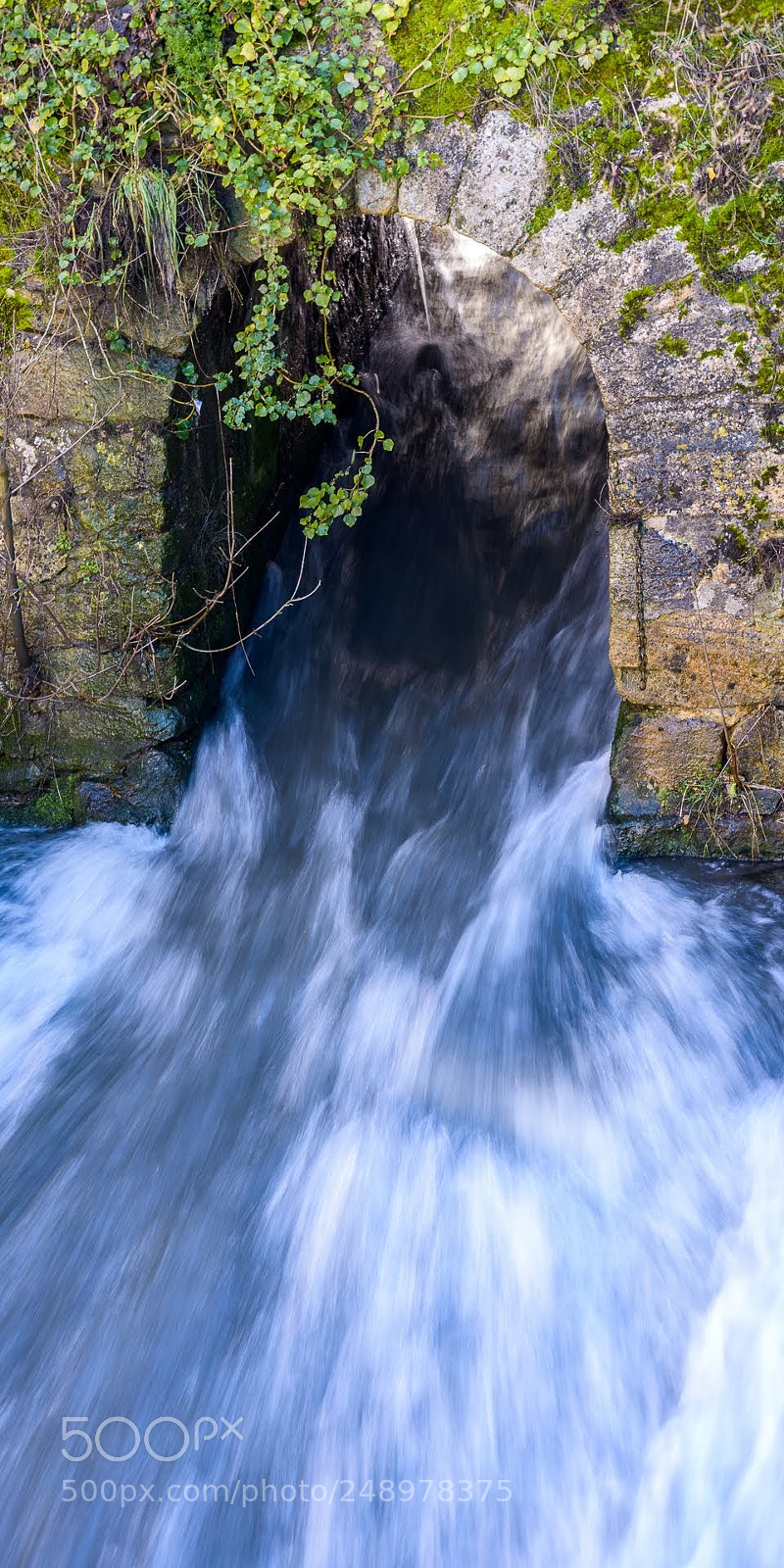 Nikon D800 sample photo. Rennemoulin photography