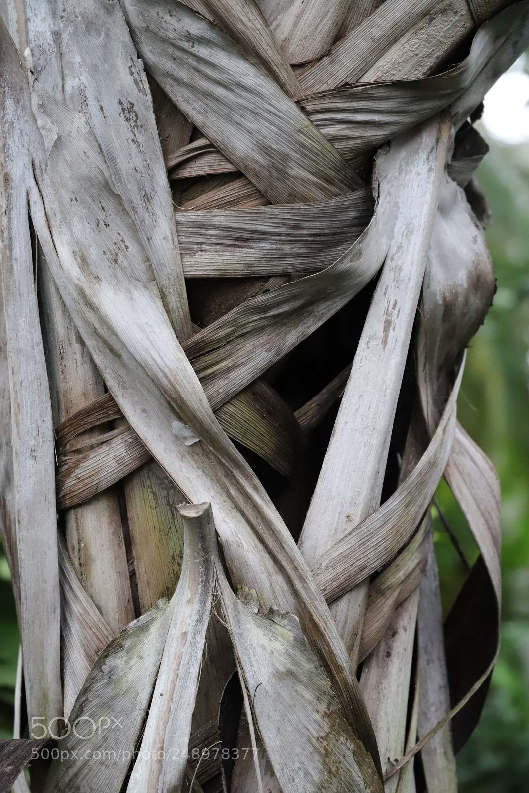 Canon EF 24-105mm F3.5-5.6 IS STM sample photo. Img photography