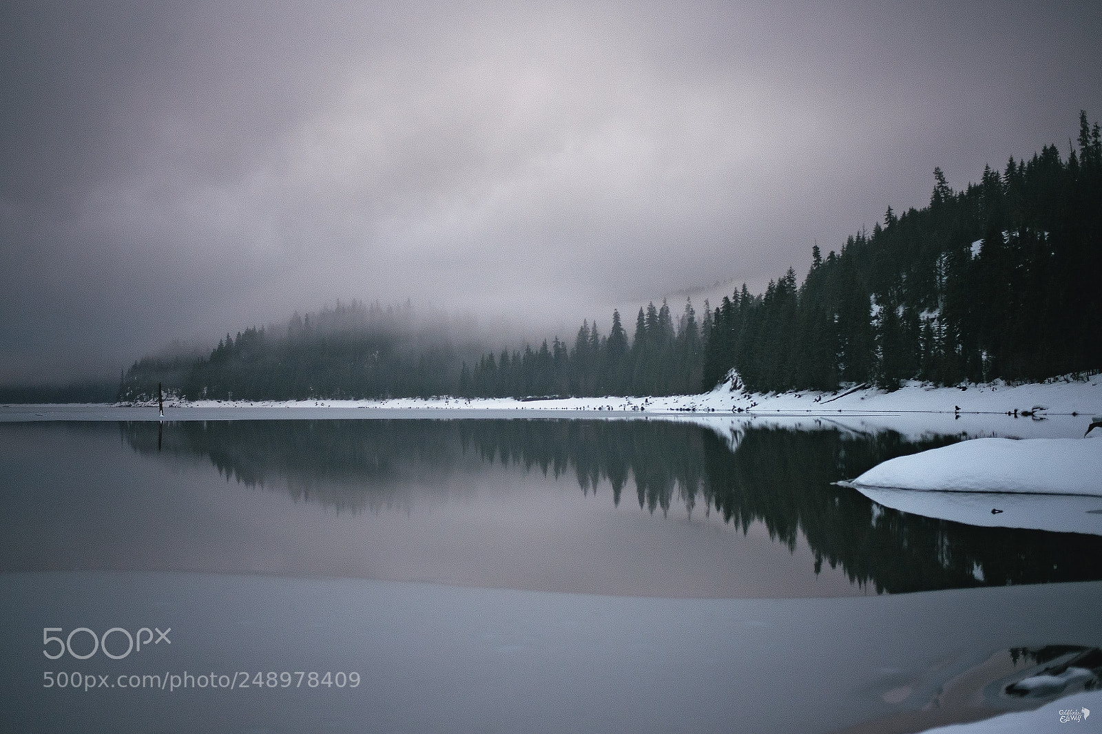 Nikon D5 sample photo. Shrouded photography