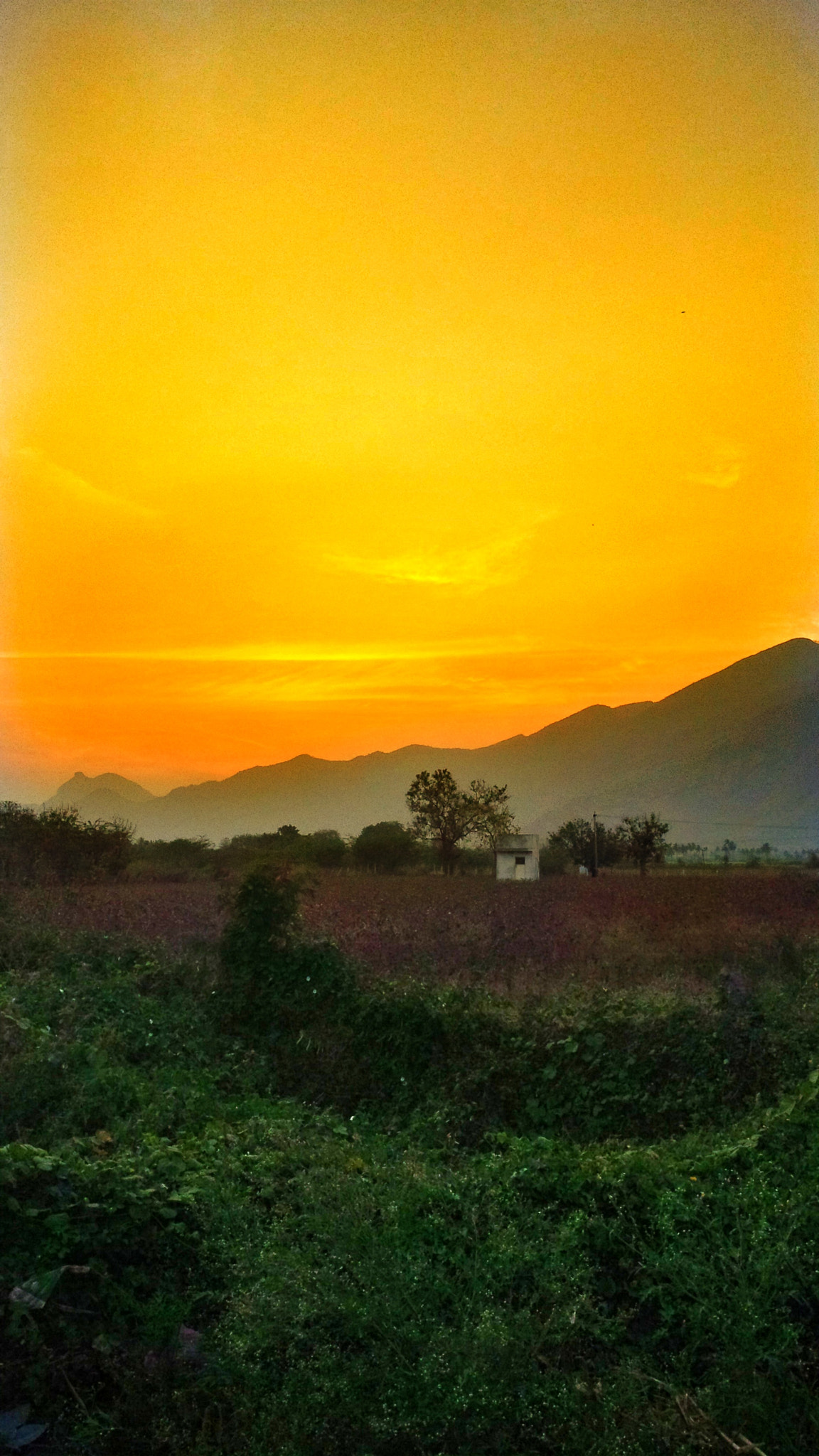 BlackBerry Z10 sample photo