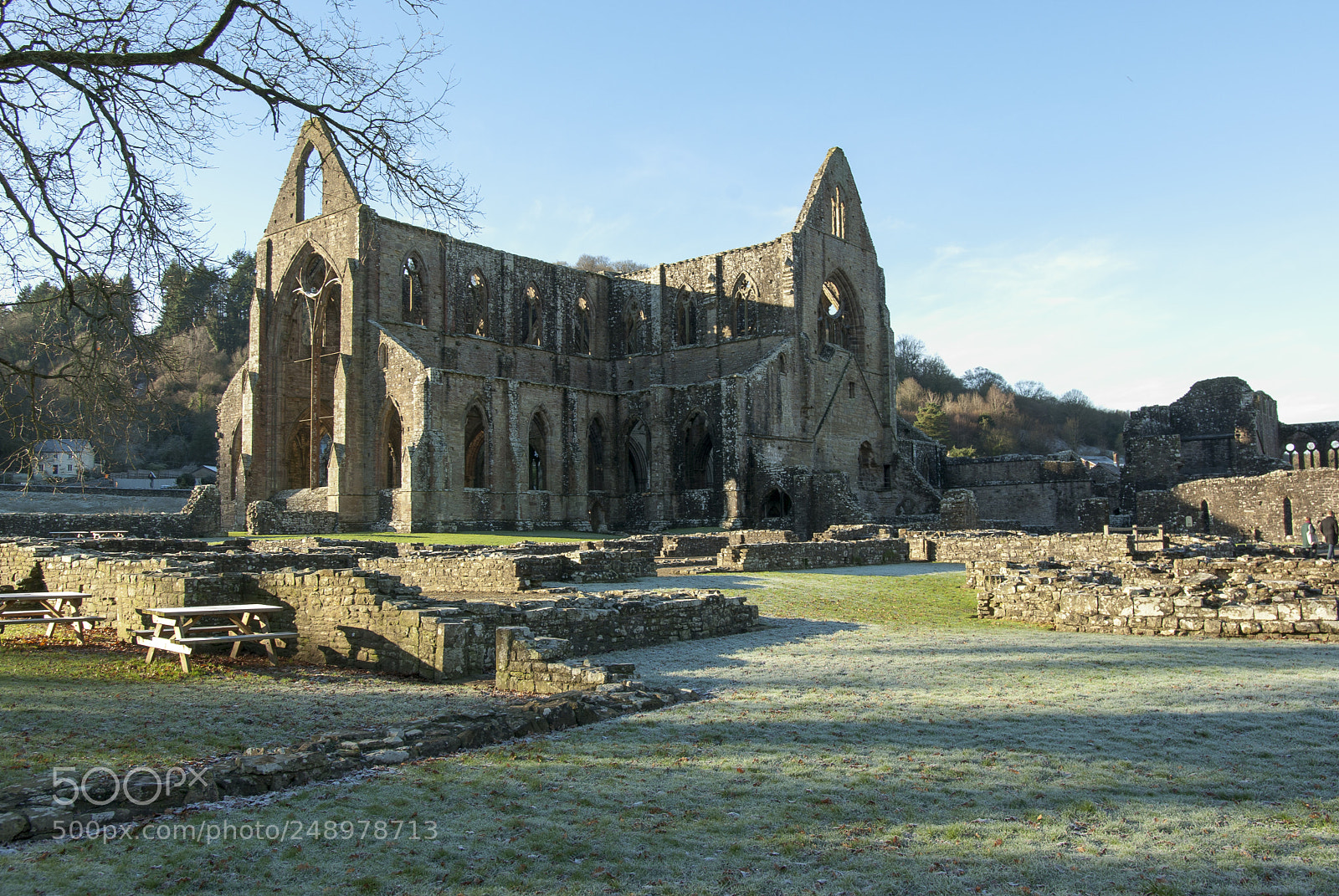 Pentax K10D sample photo. Tintern abbey photography