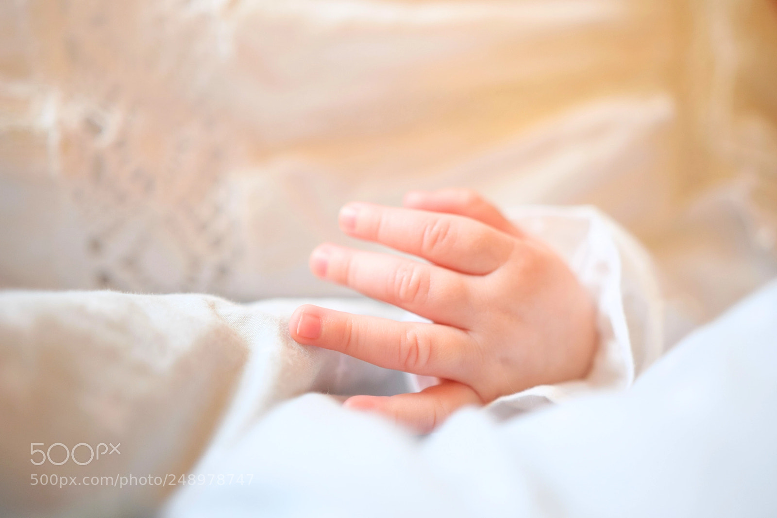 Nikon D5300 sample photo. Majusia photography