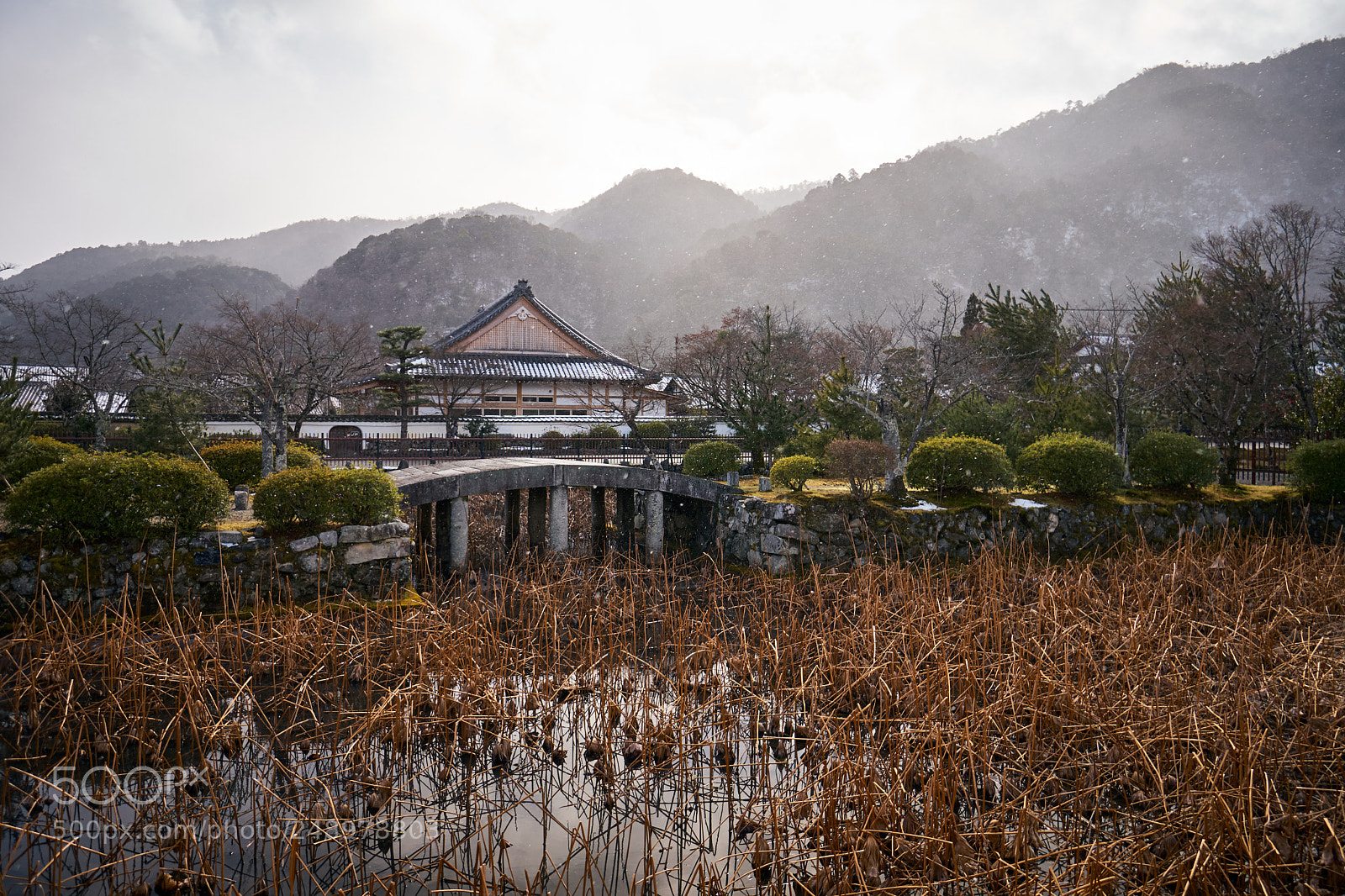 Sony a6300 sample photo. Kyoto photography