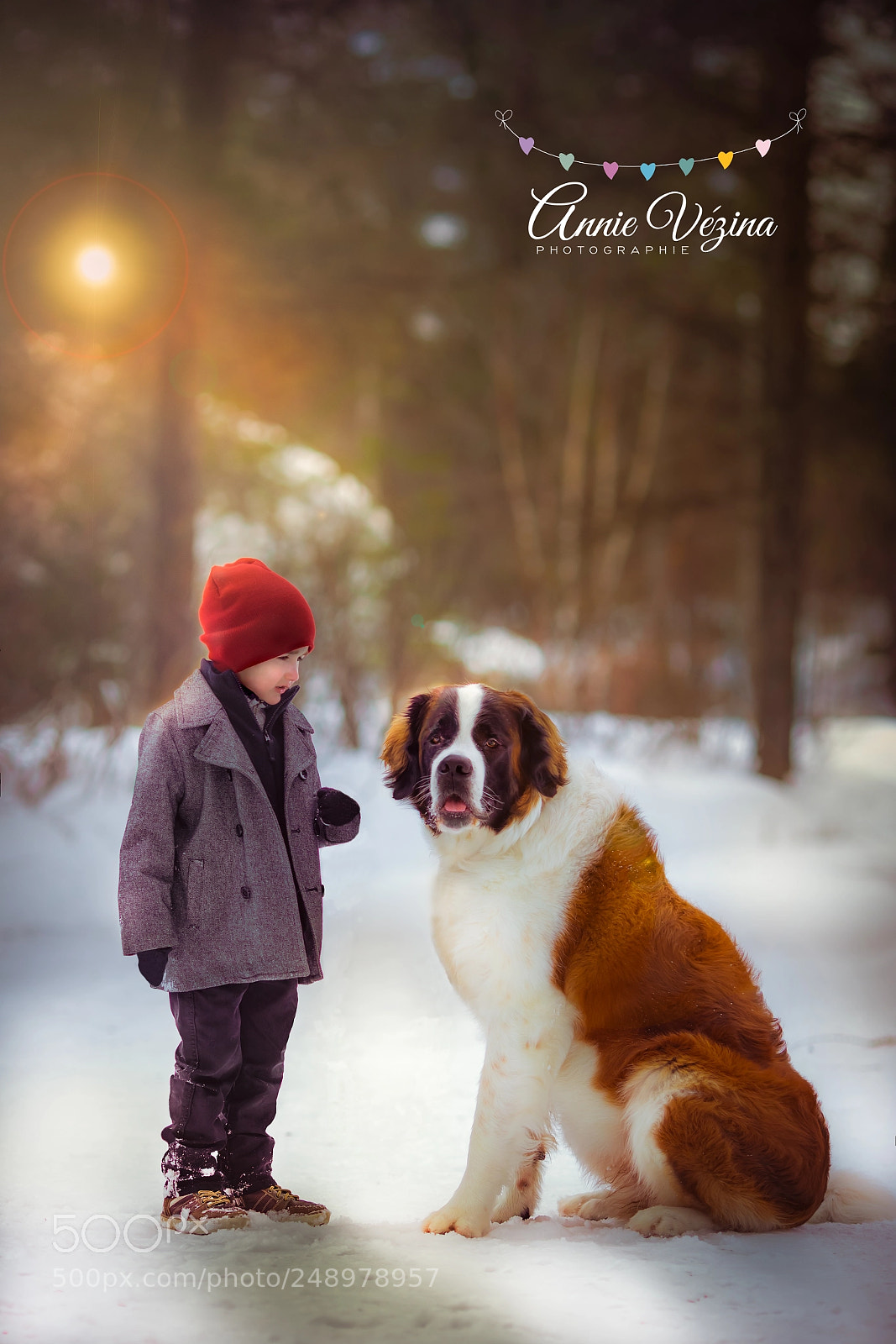Canon EOS 5D Mark IV sample photo. Eliot et emma photography